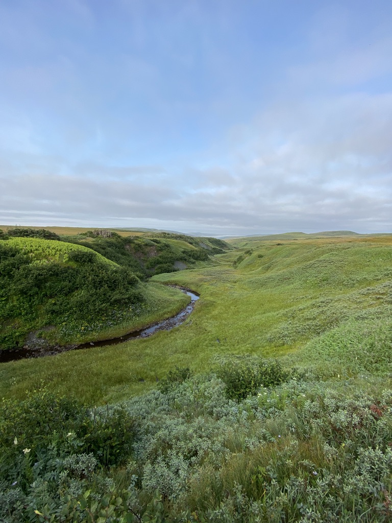 Grass covered valley